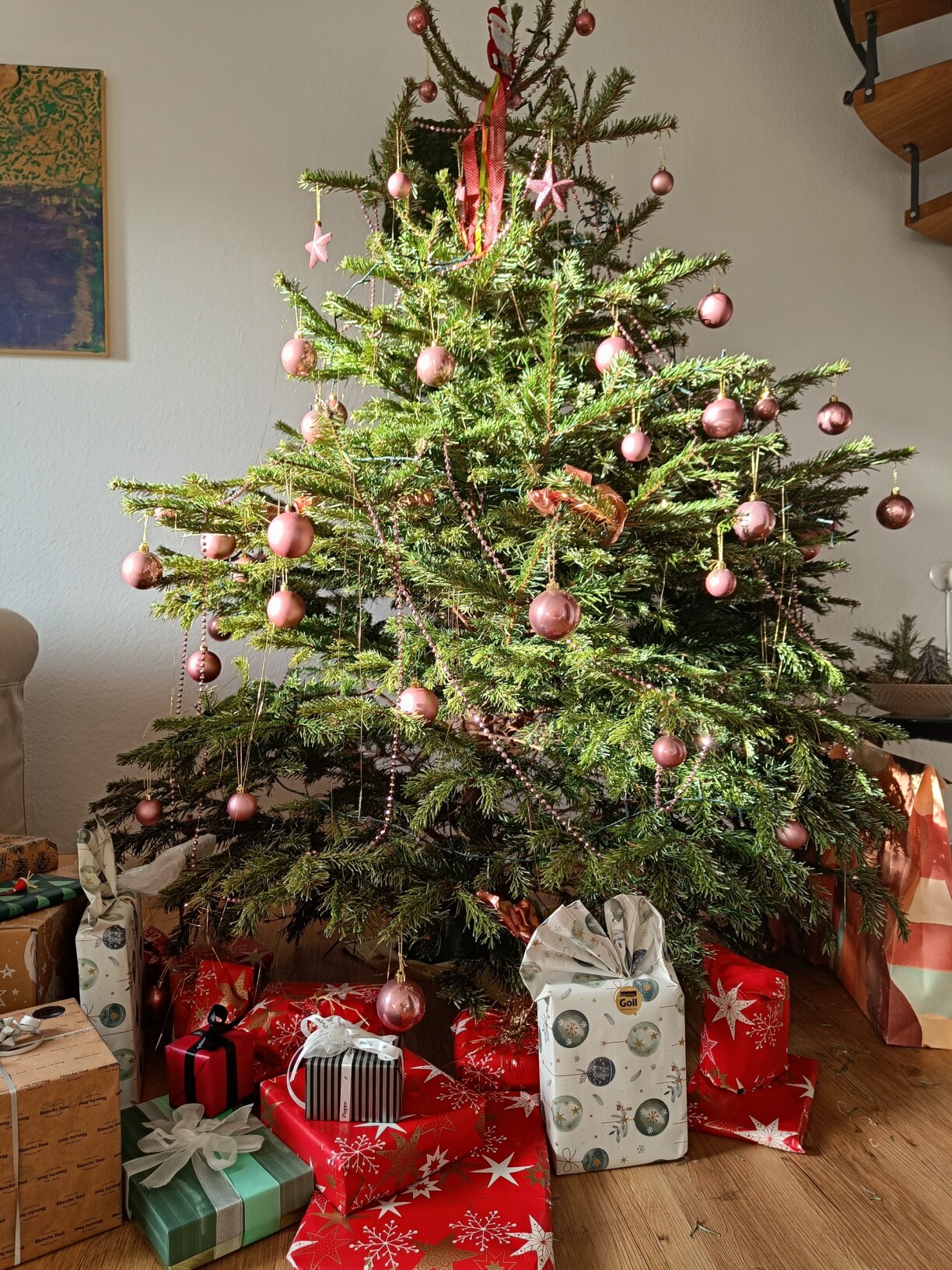 This editor's view this morning! Love how the sunlight falls on those small branches.