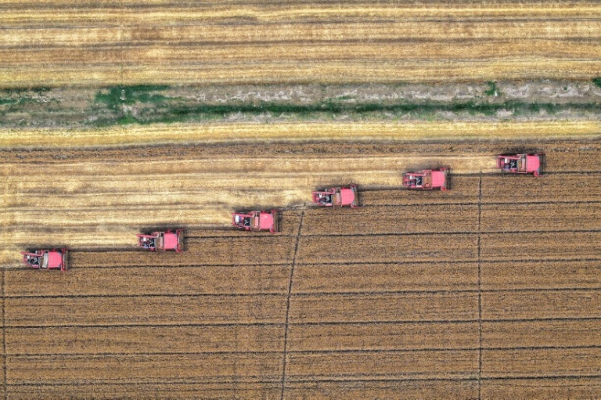 Farmers in many regions are already experiencing longer dry spells, unseasonable heatwaves and erratic weather due to climate change