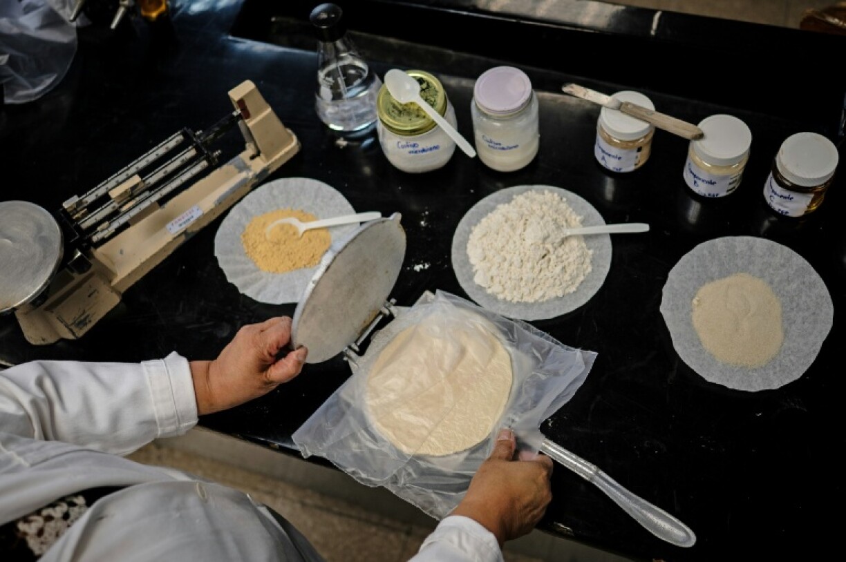 The laboratory developed tortilla contains probiotics -- live microorganisms found in yogurt and other fermented foods