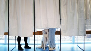 Un chien dans un isoloir le jour du premier tour des municipales à Nice, le 15 mars 2026