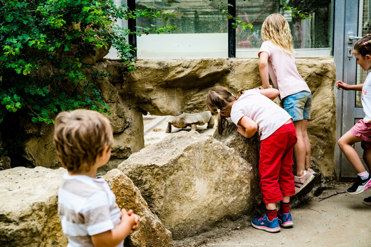 Parc Merveilleux in Bettembourg