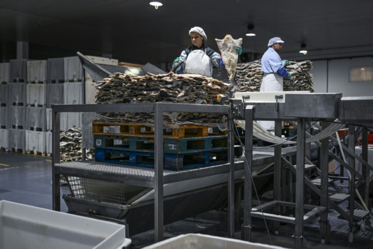 The cod sector employs over 2,500 people in Portugal, with sales worth 500 million euros ($519 million) last year, a third generated around Christmas, according to Cod Industry Association (AIB)