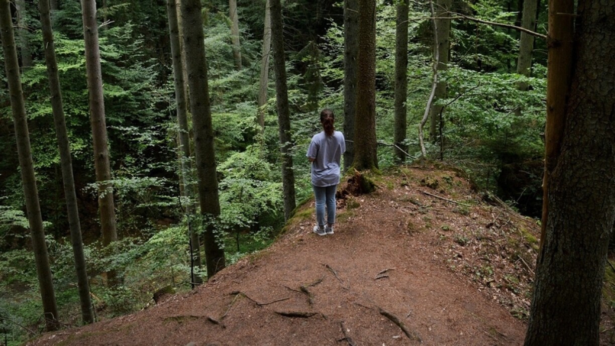 Randonnée dans la forêt du Mullerthal au Luxembourg.