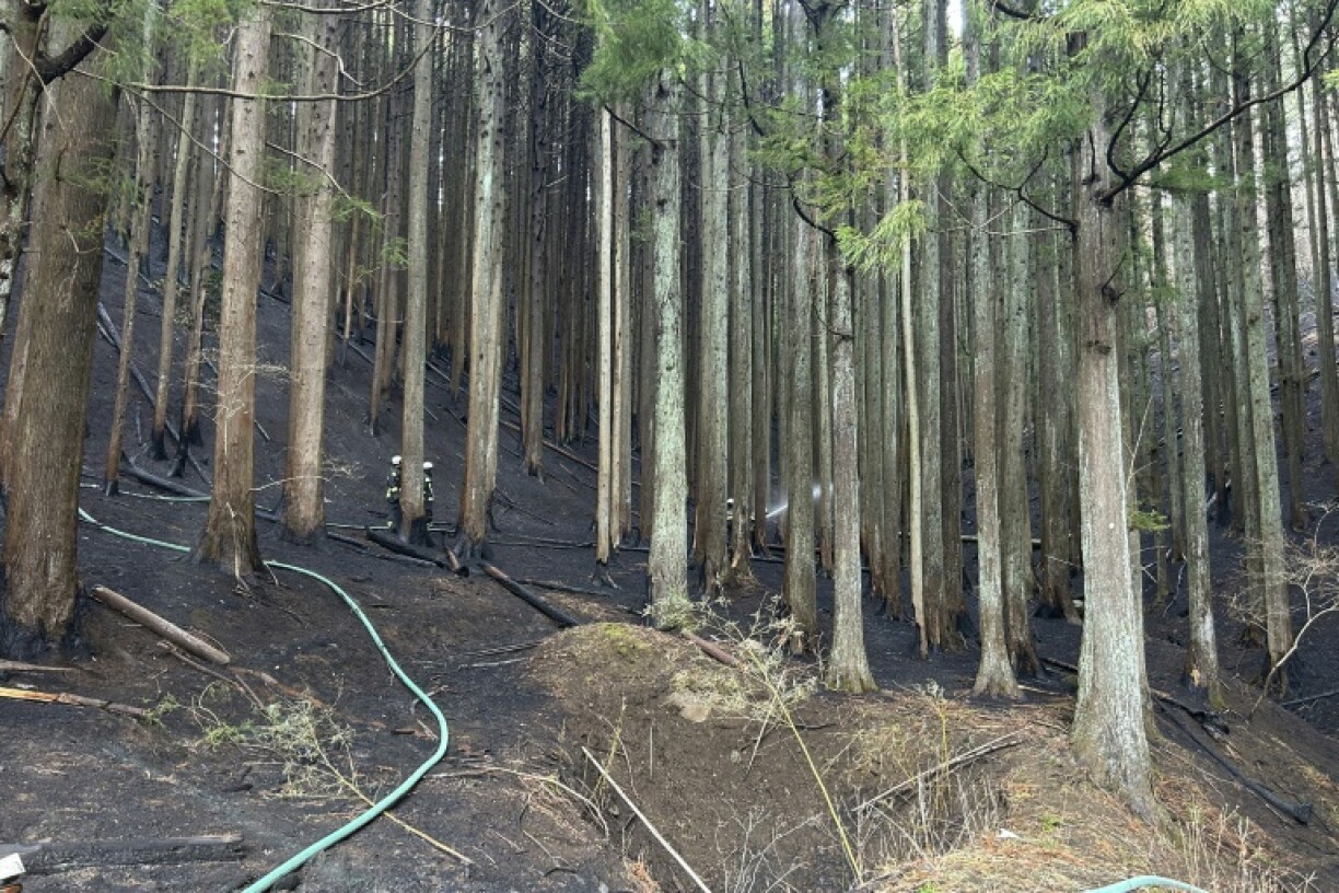 The fire had raged in the mountains around Japan's northern city of Ofunato for over a week