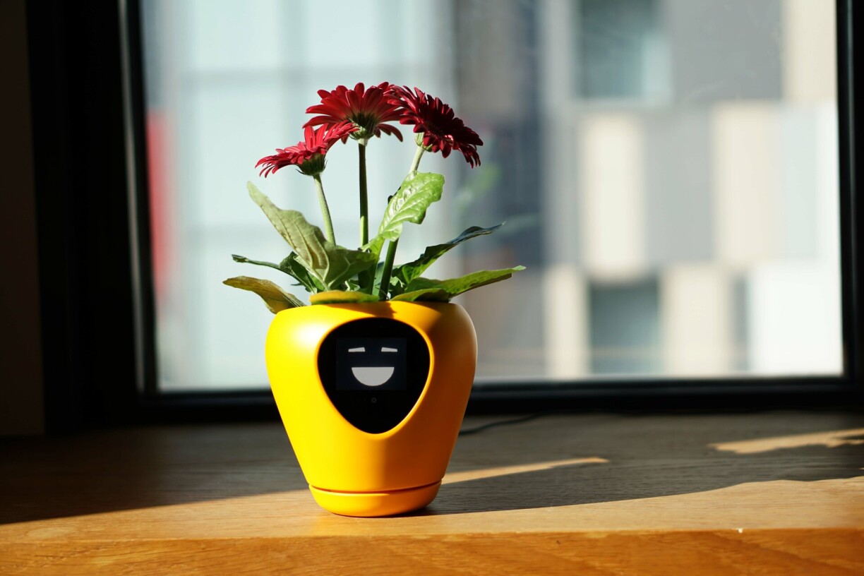 Lua smart pot