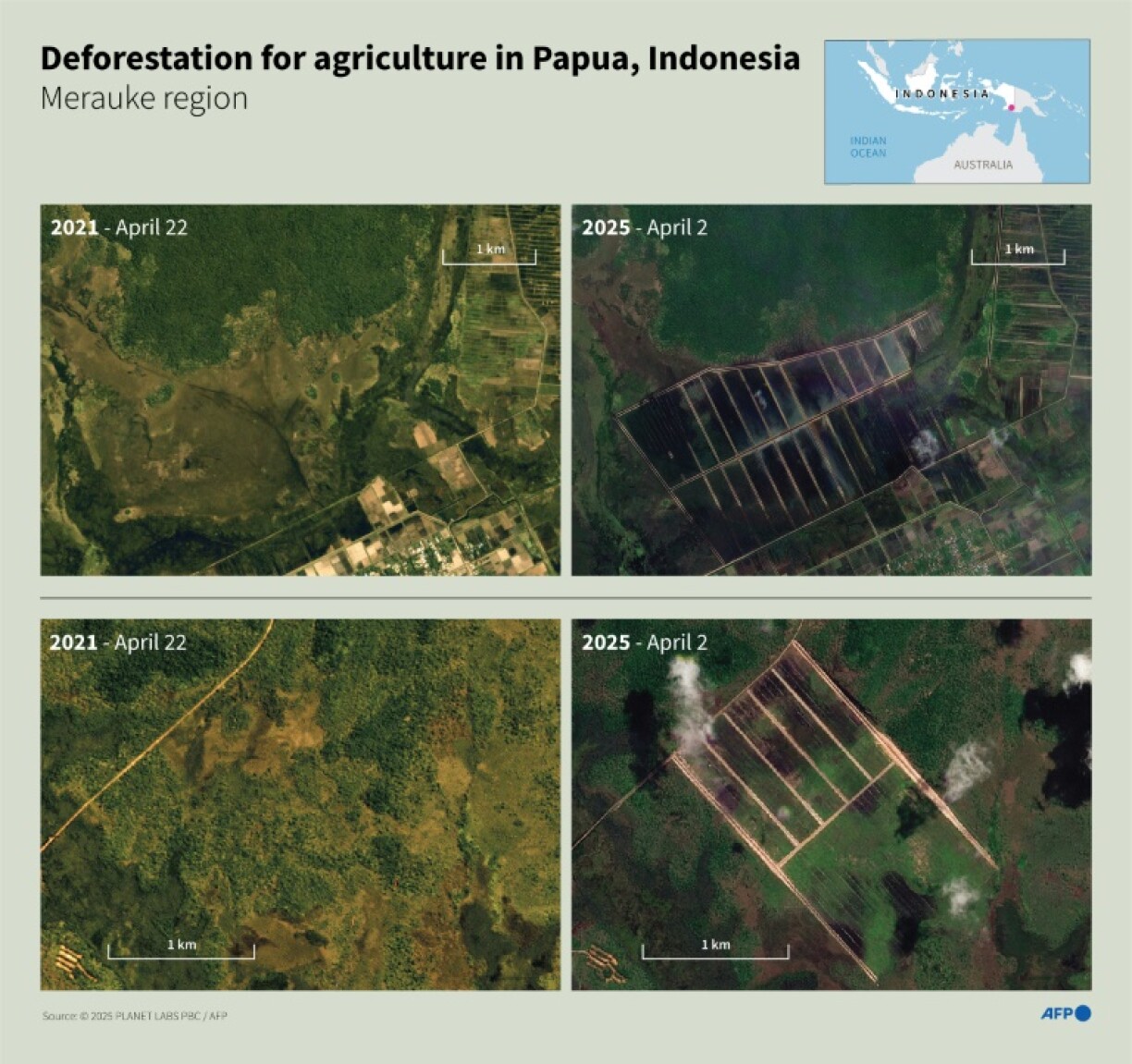 Deforestation for agriculture in Papua, Indonesia