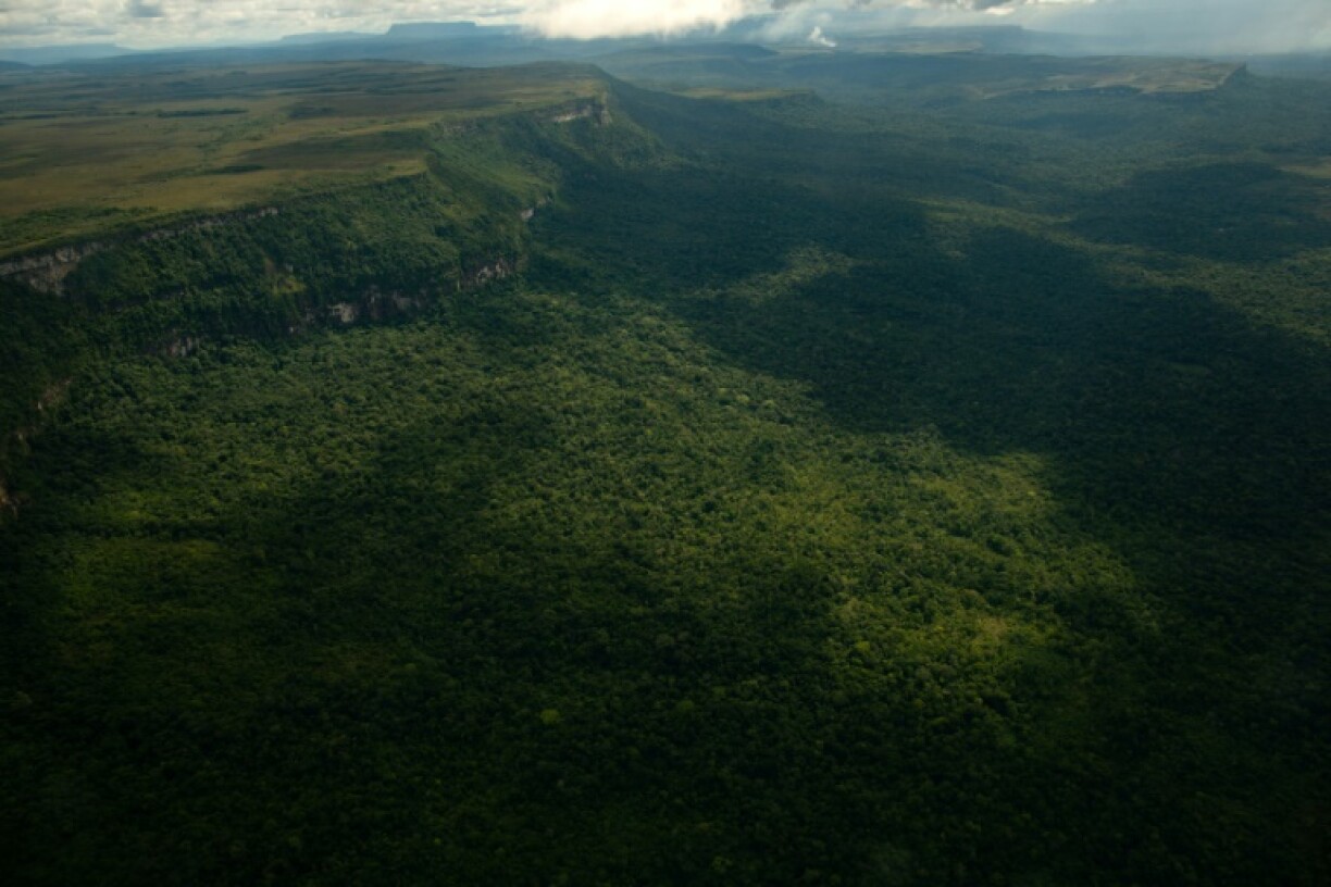 The disputed Essequibo region makes up two-thirds of Guyana's territory and is home to 125,000 of its 800,000 citizens