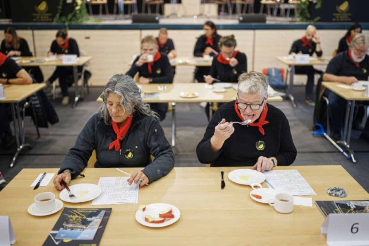 Des membres du jury des premiers championnats du monde de la raclette notent des fromages, le 28 octobre 2023 à Morgins, en Suisse