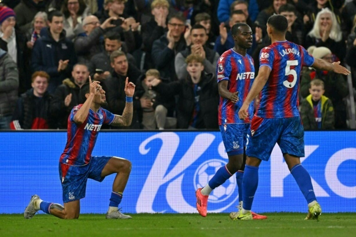 Daniel Munoz (left) salvaged a 1-1 draw for Crystal Palace against Newcastle