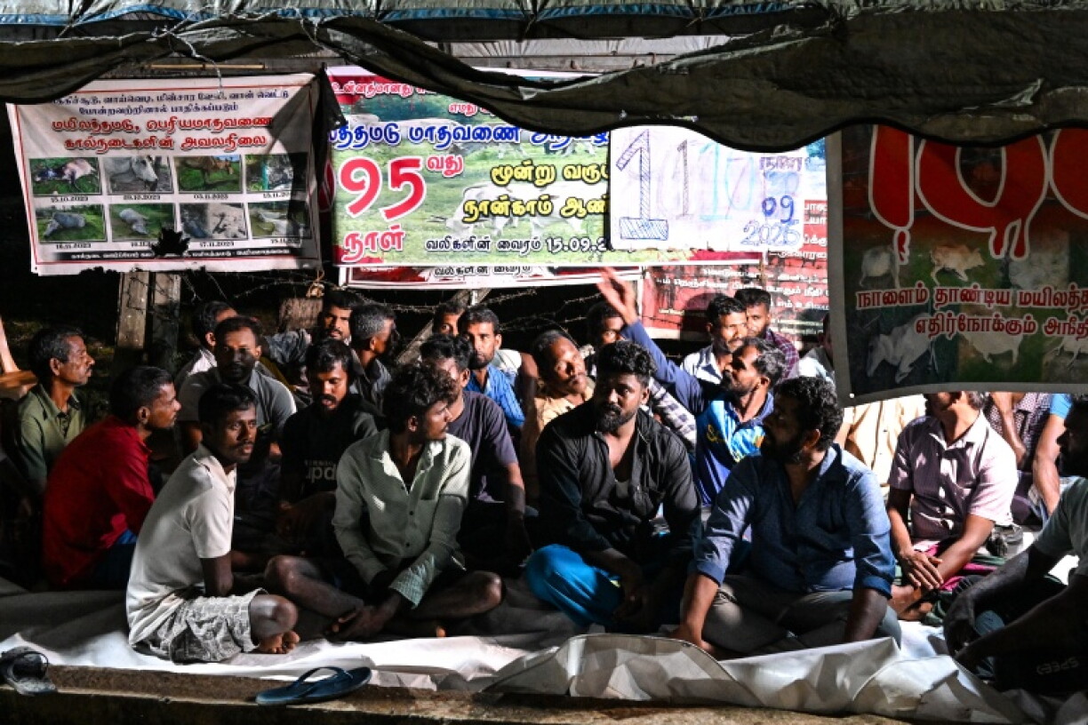 Tamil cattle farmers stage a round-the-clock vigil during a protest over alleged land encroachment at Batticaloa in Eastern Province
