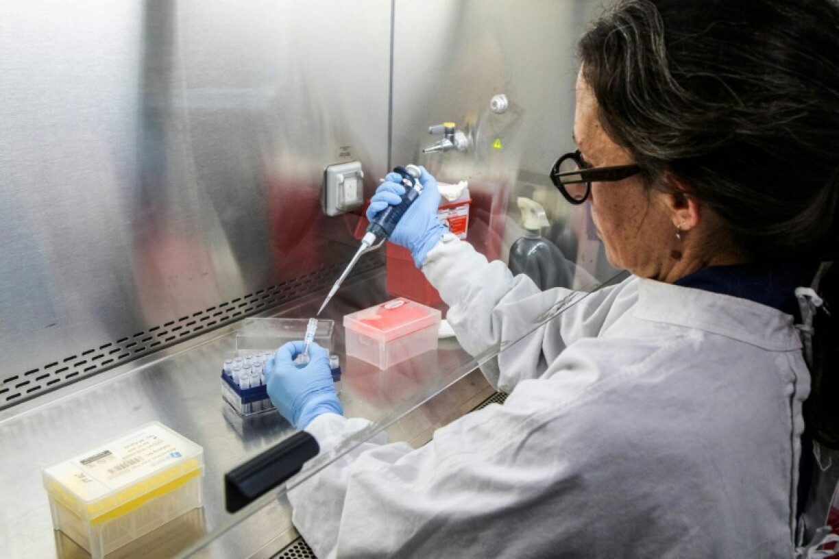 Photo diffusée par le ministère argentin de la Santé montrant une scientifique de l'Institut Malbran manipulant des tubes utilisés pour diagnostiquer l'hantavirus andin, le 6 mai 2026 à Buenos Aires