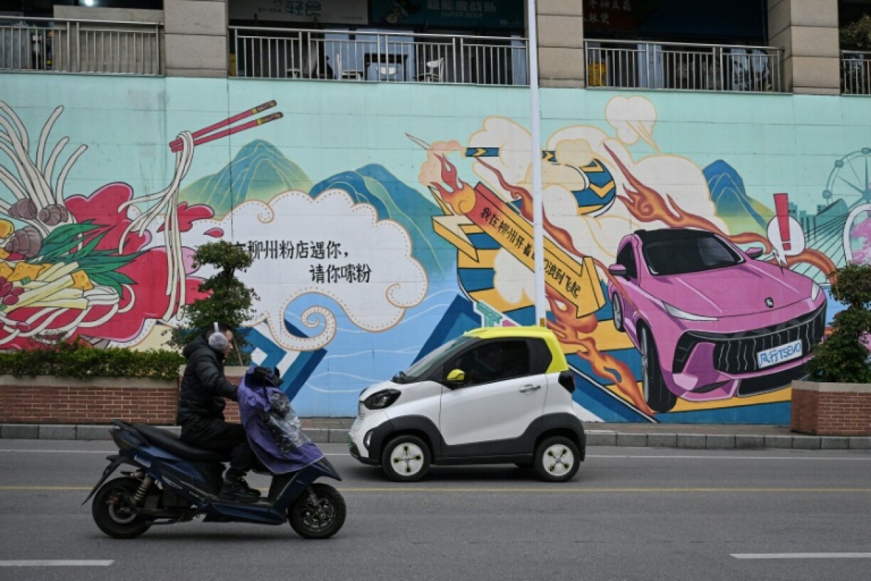 Les mini-voitures personnalisables à Liuzhou, dans la province du Guangxi, dans le sud de la Chinen, le 24 janvier 2024