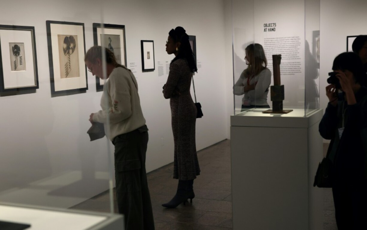 Press preview for the 'Man Ray: When Objects Dream' exhibition at The Metropolitan Museum of Art