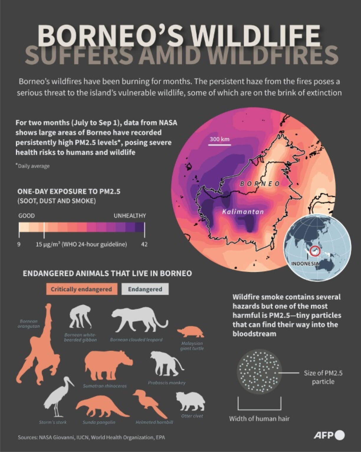 Infographic showing PM2.5 levels in Borneo where endangered animals live
