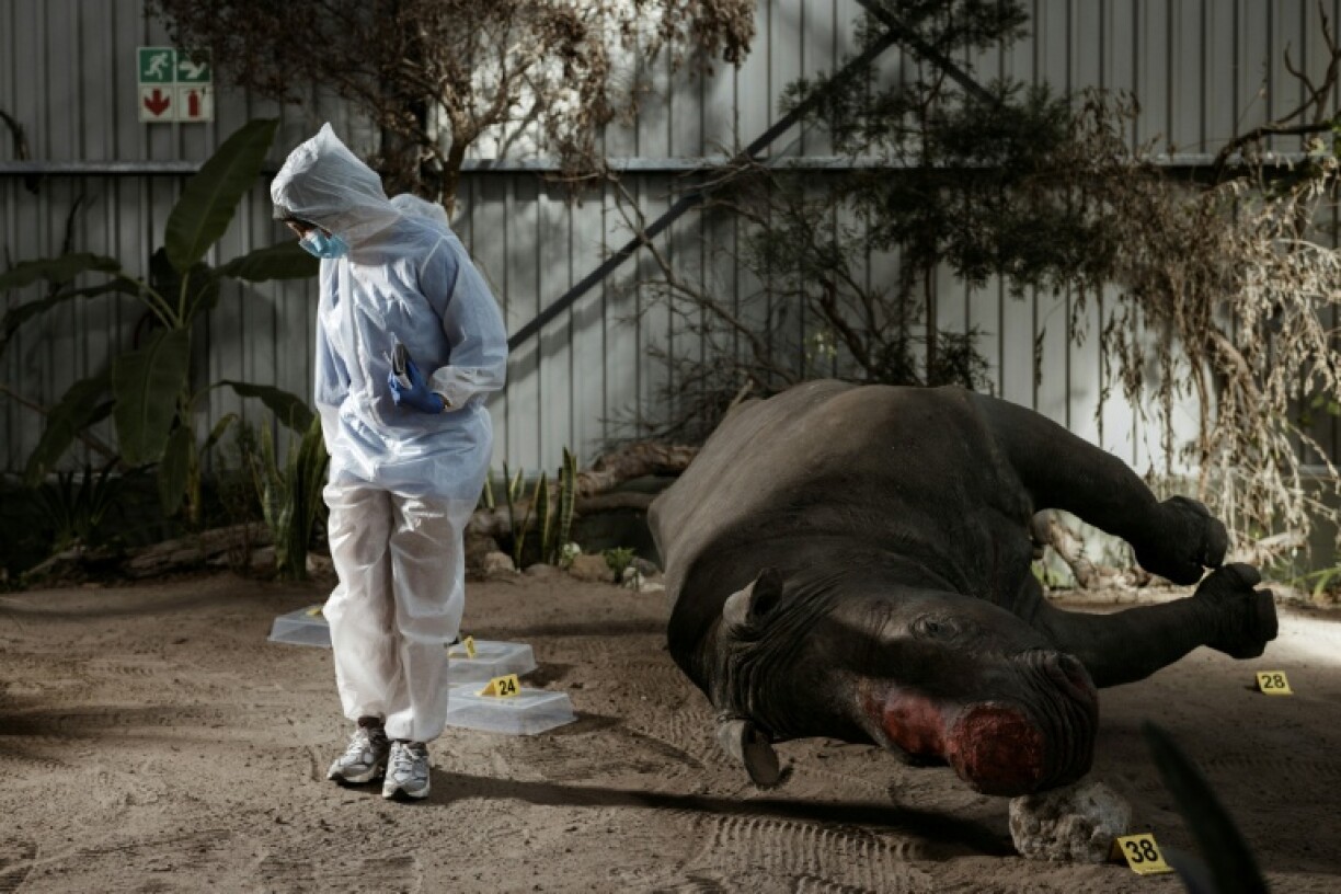 The Wildlife Forensic Academy is set inside a warehouse in a private game reserve