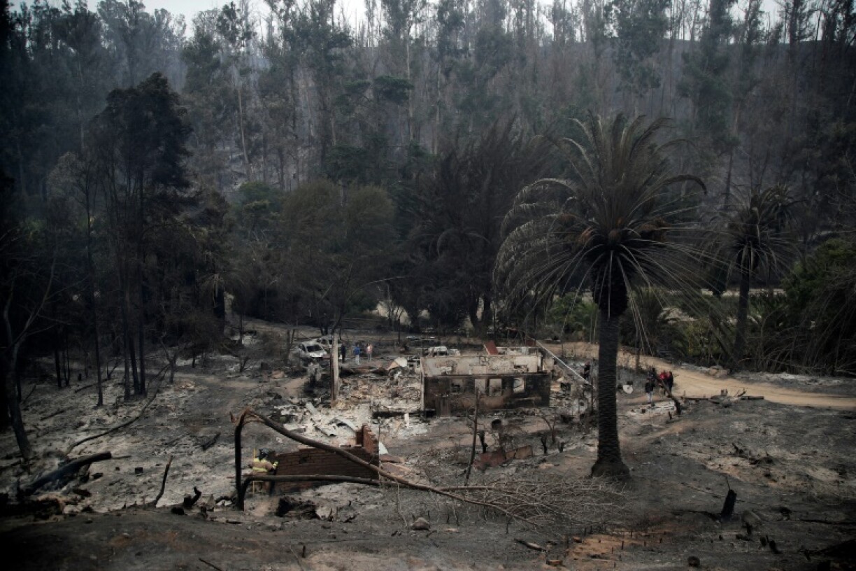 Le jardin botanique de fire in Viña del Mar, dans le centre du Chili, le 4 février 2024
