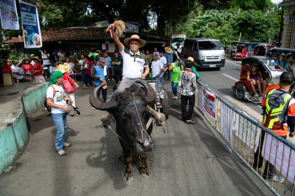 Senate candidate Danilo Ramos rides a water buffalo as he kicks off his campaign in the Philippines Bulacan province on Tuesday