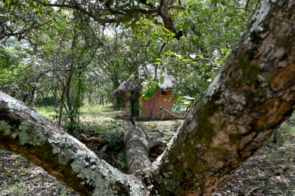 The authorities hope to revive tourism to the Comoe National Park