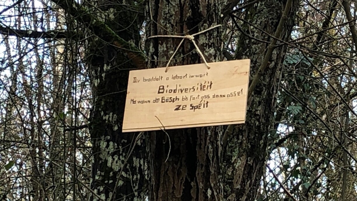 Schonn 2020 hate sech d'Ëmweltaktiviste fir d'Erhale vum Bobësch ausgeschwat, deen zum Deel dem deemools proposéierten Tracé vum Käerjenger Contournement sollt zum Affer falen.