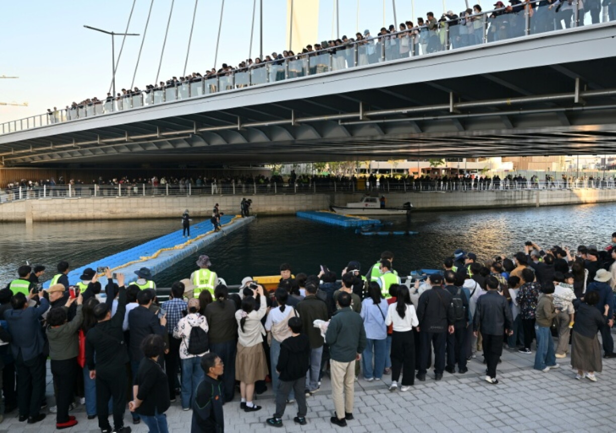 Visitors watch Wednesday's bid to guide a 3.5-metre shark back to the sea after it became trapped in an artificial waterway in the southeastern port city of Busan