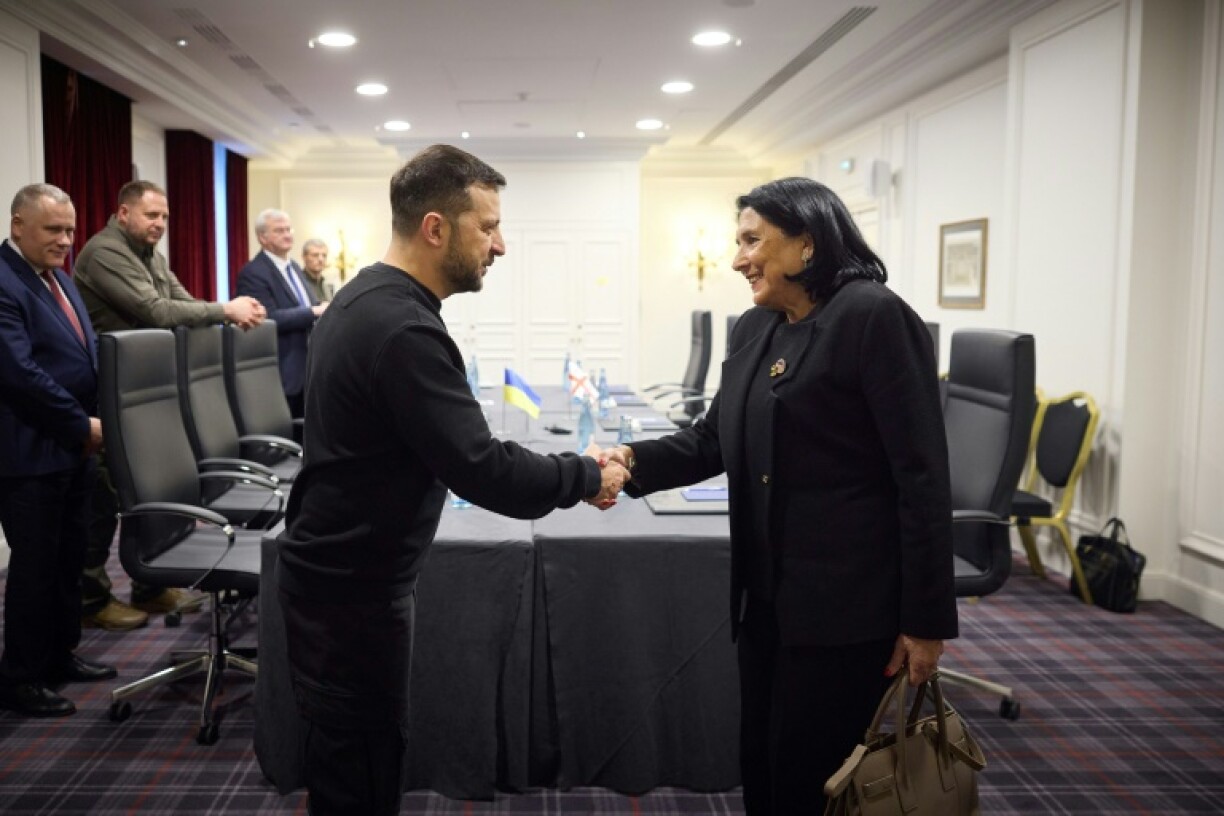 Ukraine's leader Volodymyr Zelensky said he fully backed Georgia's protesters