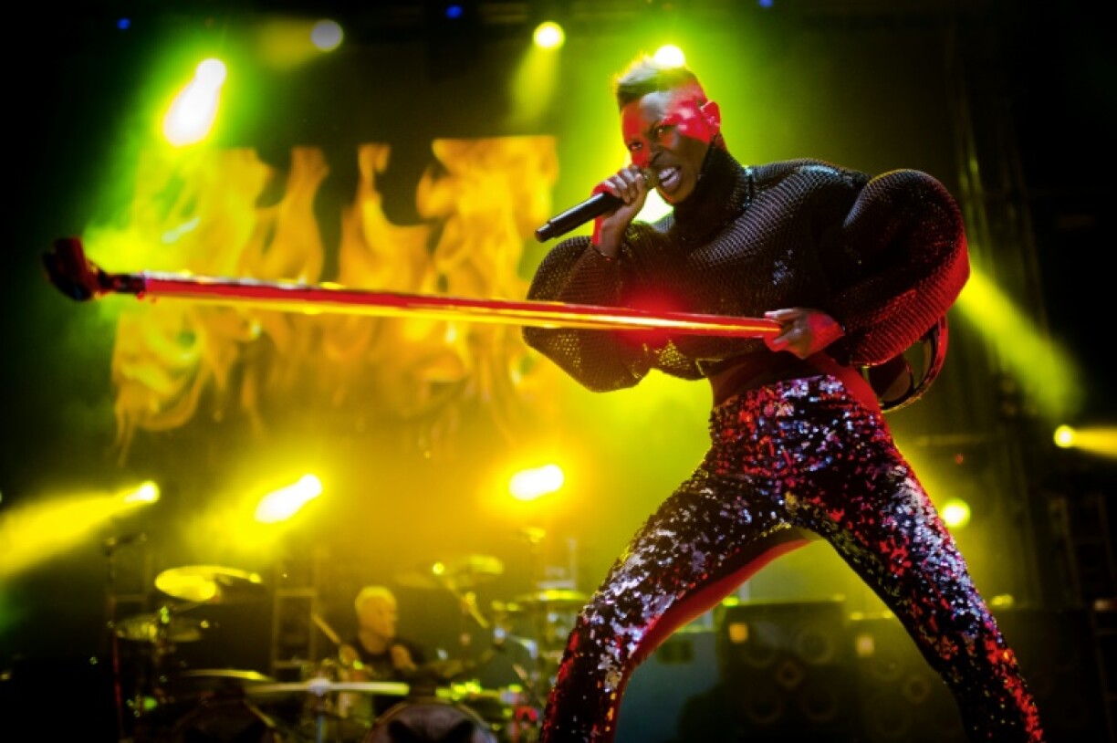 Skin, real name Deborah Anne Dyer, is the lead singer of Skunk Anansie.