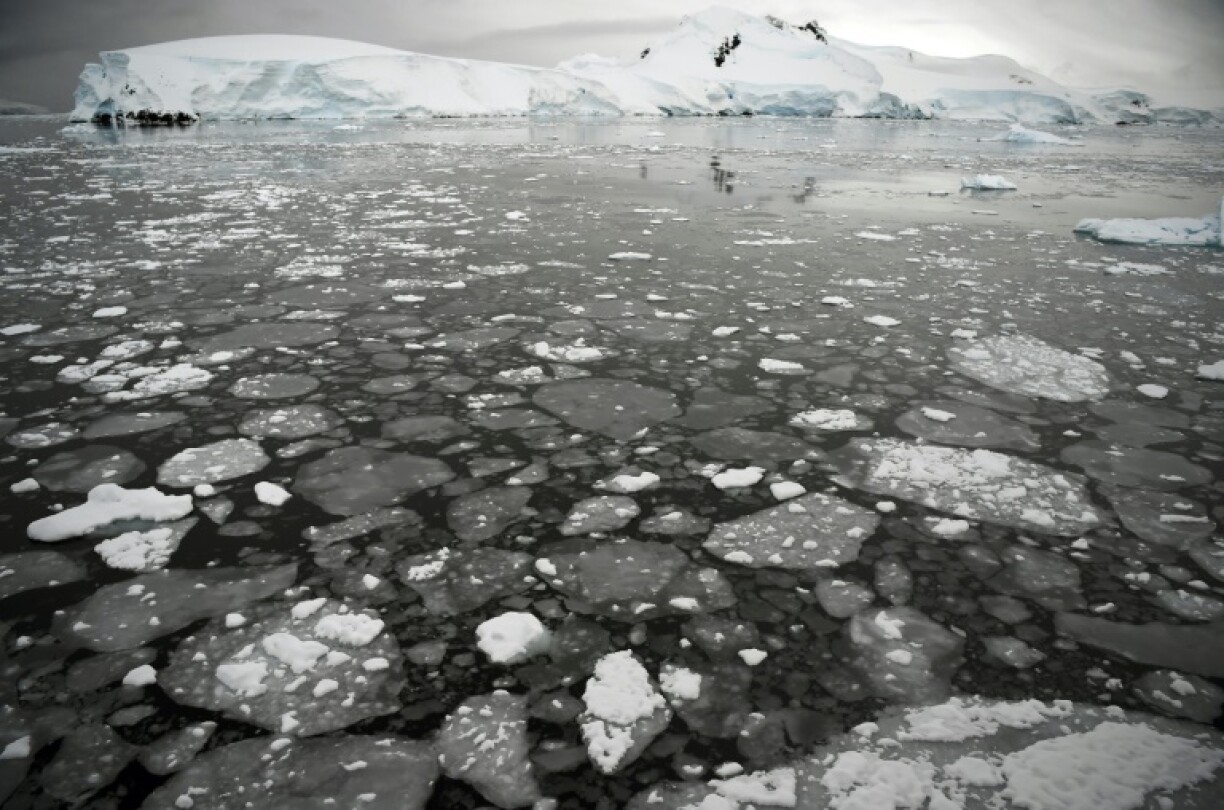 Ice floating on the surface of the sea in the western Antarctic peninsula in 2016