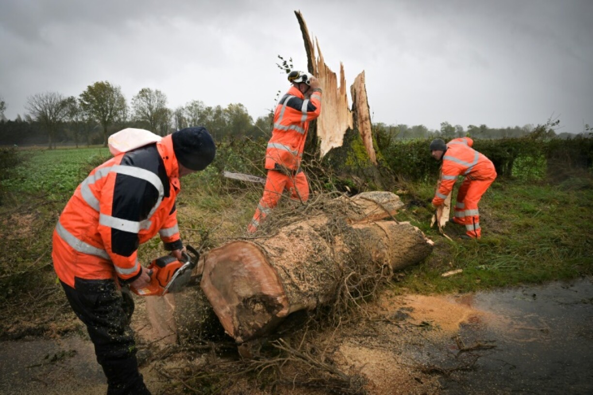 Workers clear a road in Caen after a tree was felled by strong winds as Storm Ciaran hit northwestern Europe
