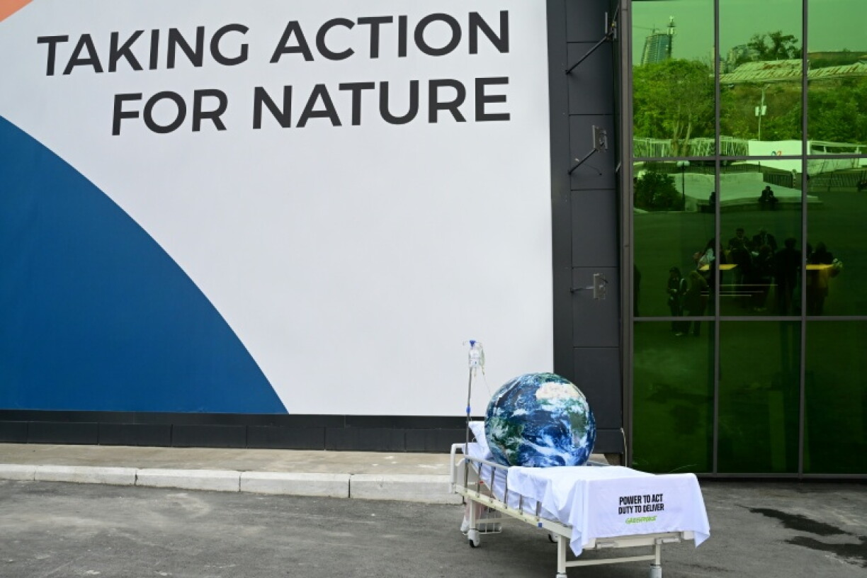 The UN nature summit concludes Friday but nations are still trying to reach a deal as the clock ticks down.