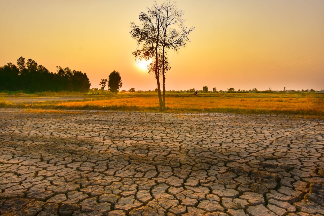 Alors que les épisodes climatiques extrêmes se multiplient dans le monde, la question de la mobilisation de chaque citoyen se pose.