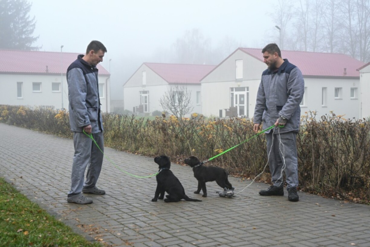 The dog training scheme aims to help inmates be better prepared for life outside jail