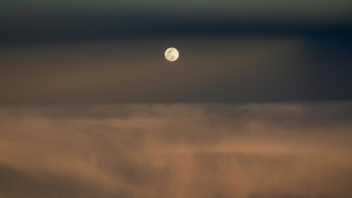 POOL/AFP/ANDREW CABALLERO-REYNOLDS