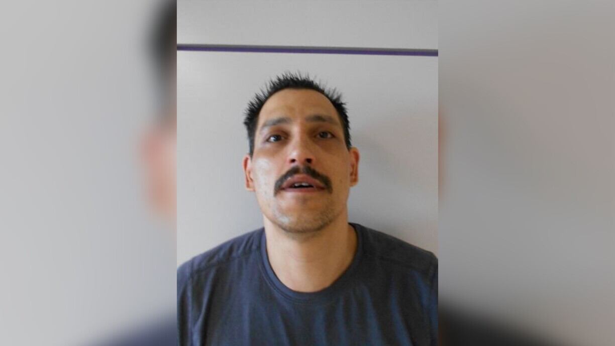 According to various media reports, 44-year-old Mario Stegnitz was sentenced to a lengthy prison term in 2010 for murder.