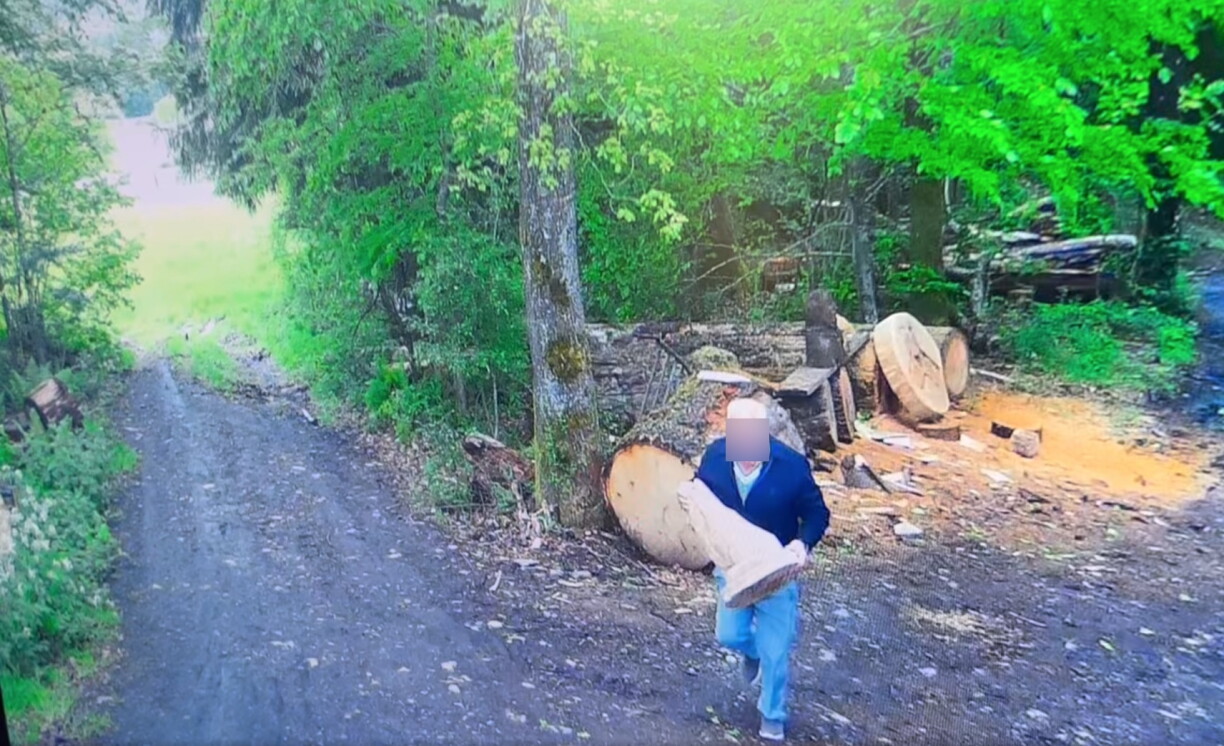 Image d’une caméra de surveillance animalière installée par l’artiste.