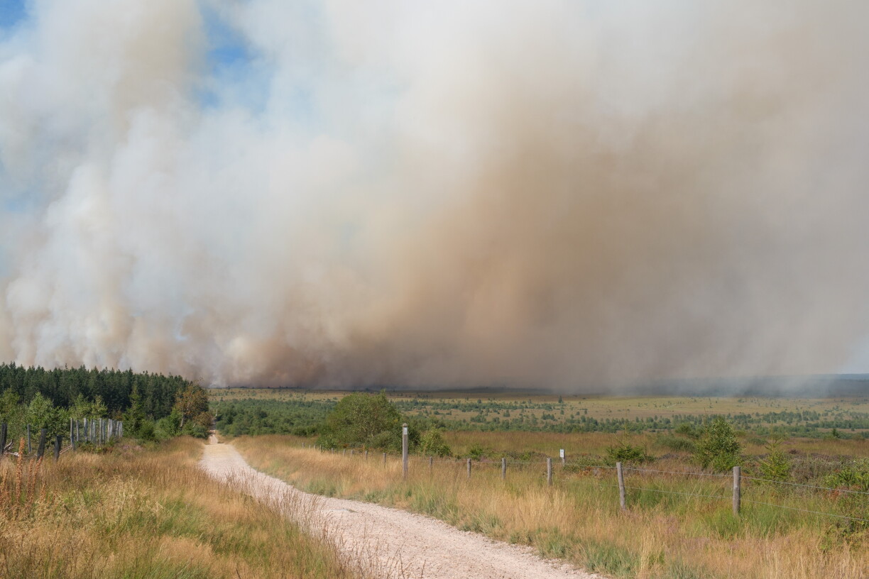 De Bëschbrand e Freideg de 14. August 2026 an den Hautes Fagnes an der Belsch.