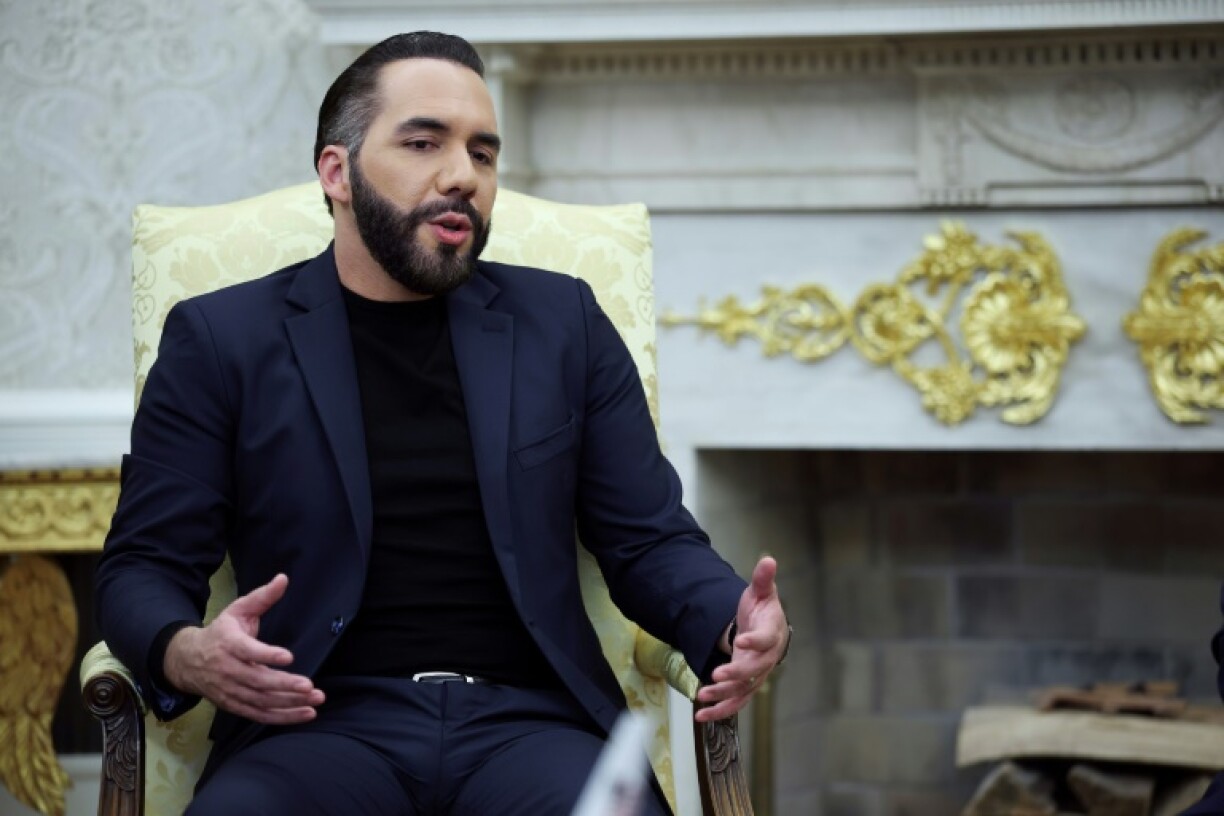 President Nayib Bukele, who describes himself as