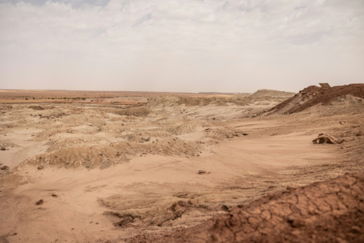 The militaries who took power in Mali, Burkina Faso and Niger since 2020 have stepped up pressure on foreign firms