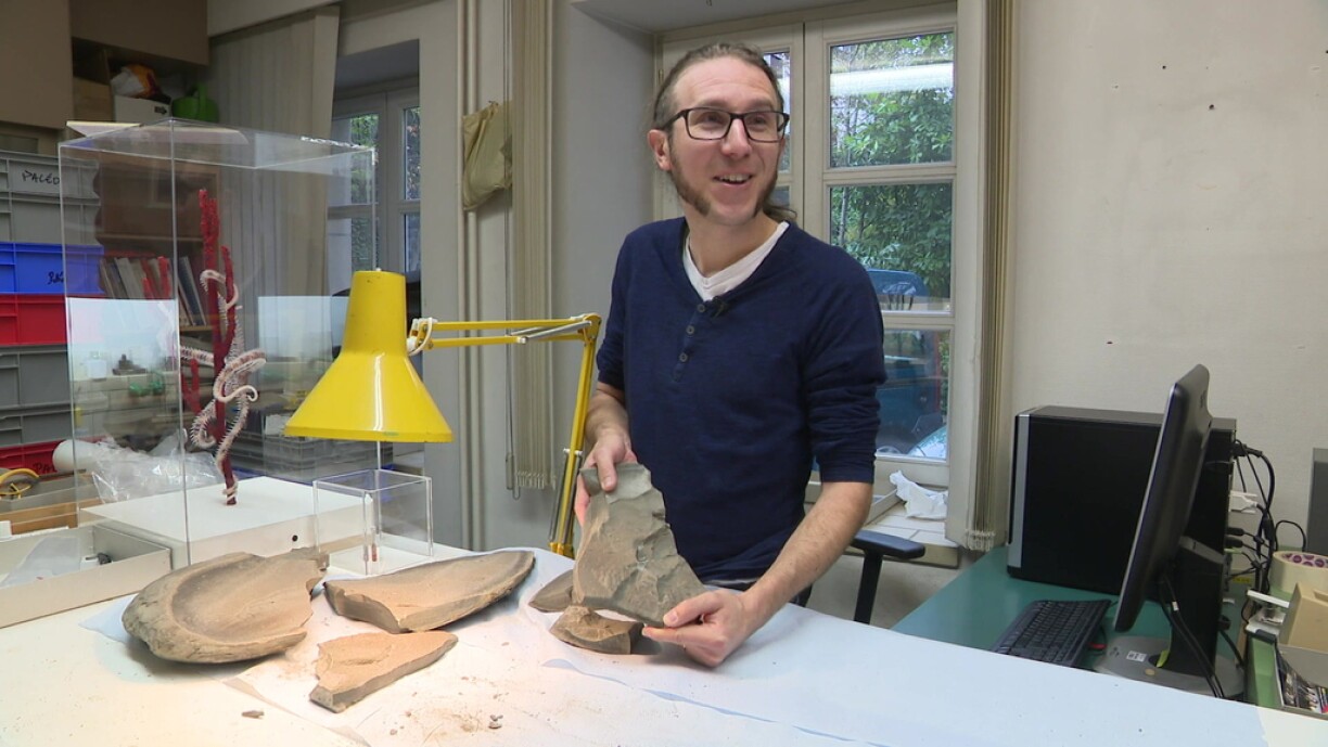 Ben Thuy is a geologist and works as a palaeontologist in the Nature Museum.