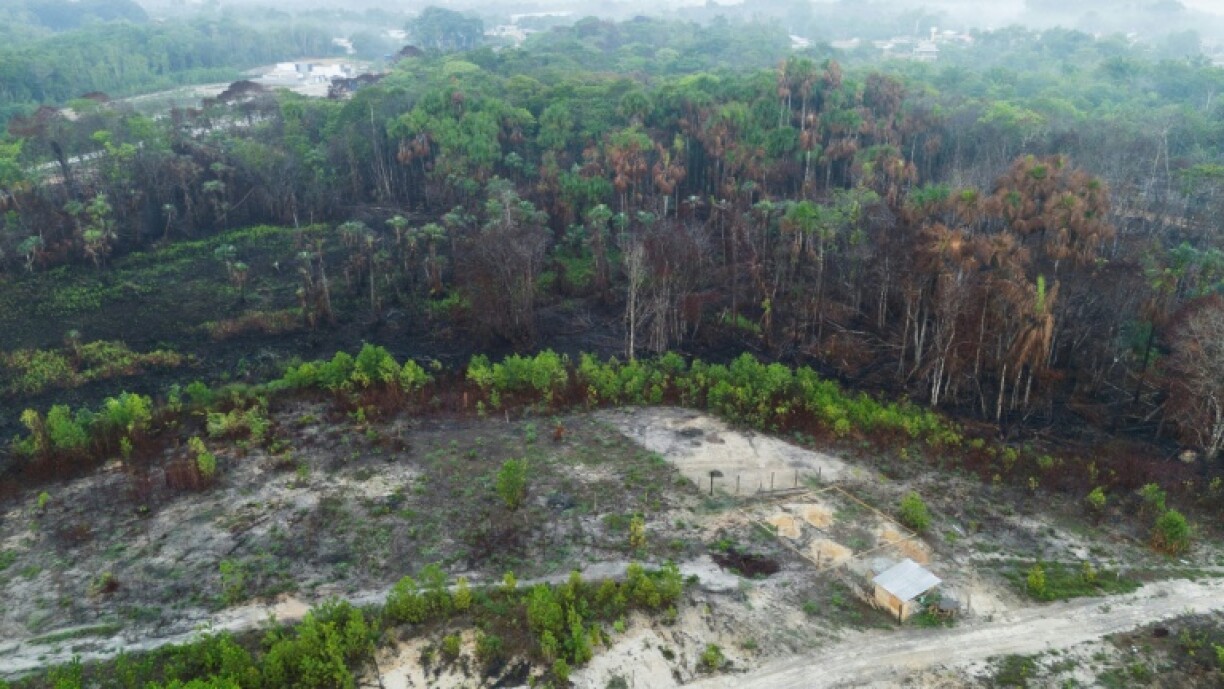 Brazil experienced historic fires last year, particularly in the Amazon, the largest tropical rainforest on the planet