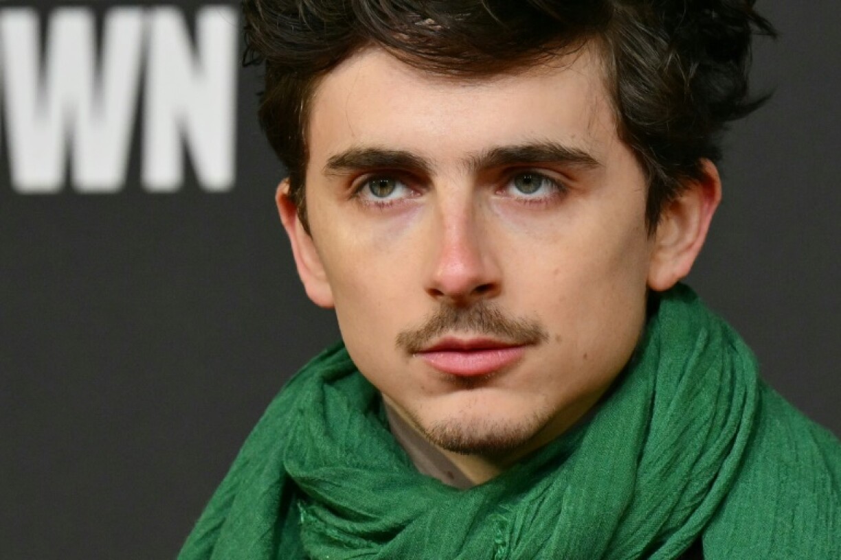 'A Complete Unknown' received eight Oscar nominations including Best Actor for Timothee Chalamet