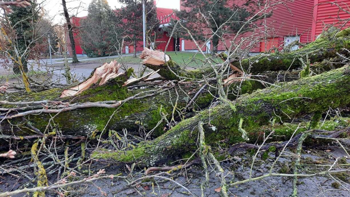 The site of the incident in Amnéville.