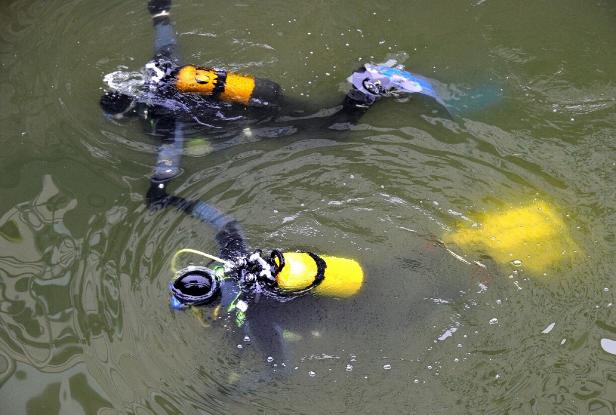 Image d'illustration