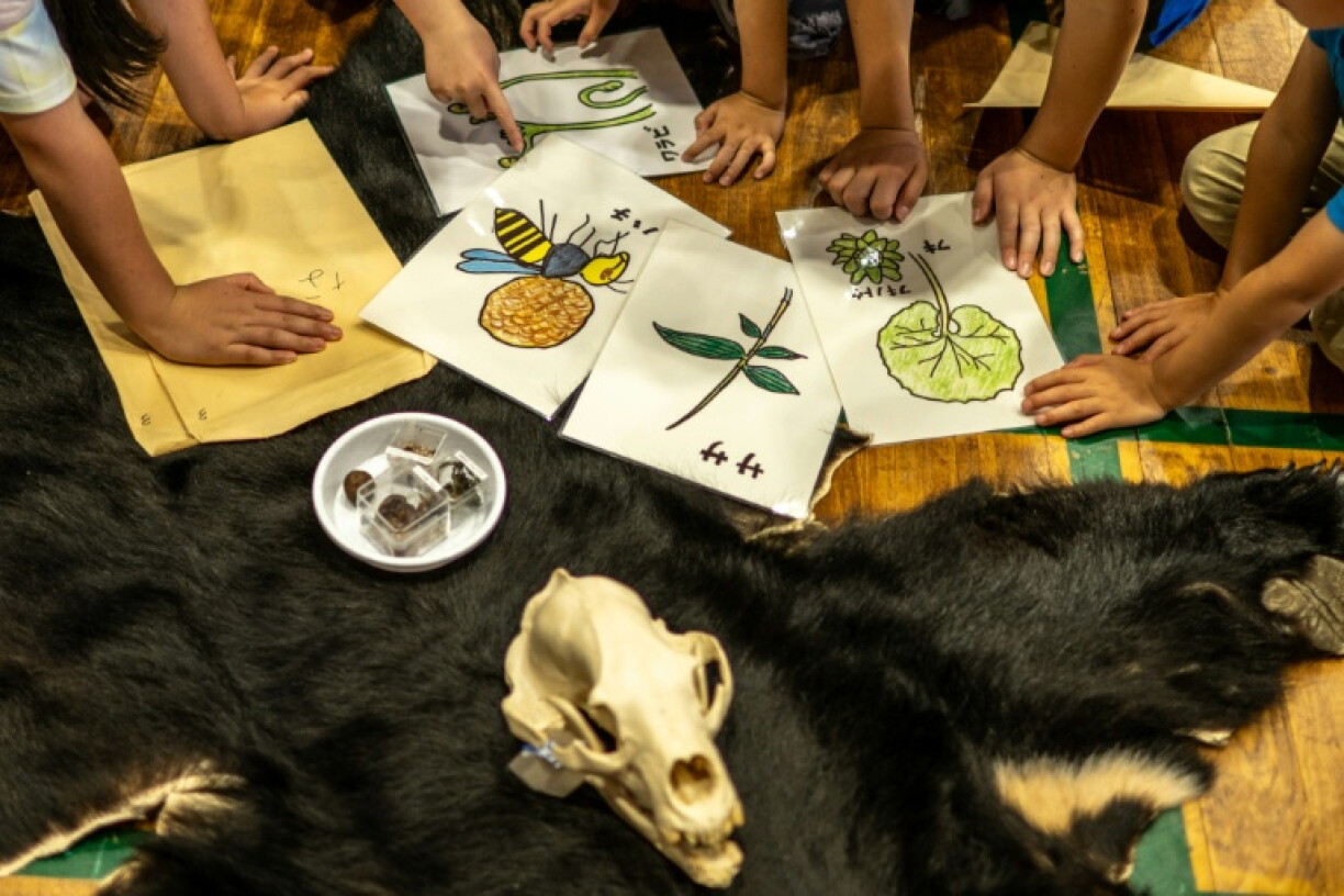 Des élèves d'école primaire participent à un atelier sur les ours animé par Akiko Takii, spécialiste des ours sauvages, dans la ville d'Ina, dans la préfecture japonaise de Nagano, le 6 juillet 2026