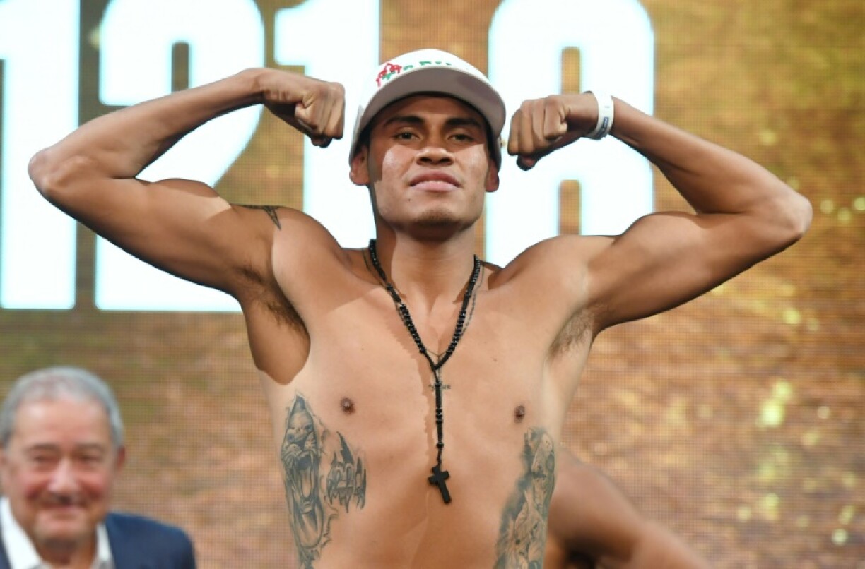 WBO super-featherweight champion Emanuel Navarrete kept his crown with a technical decision victory over previously unbeaten Filipino fighter Charly Suarez