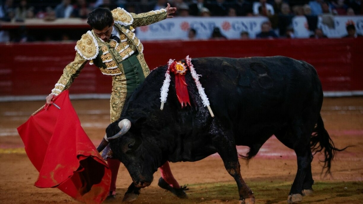 Beim Kampf e Sonndeg: Wärend deem de Stéier duerch d'Arena gehetzt gëtt, gëtt ëmmer nees mat Messer a Picken op säi Kierper agestach.