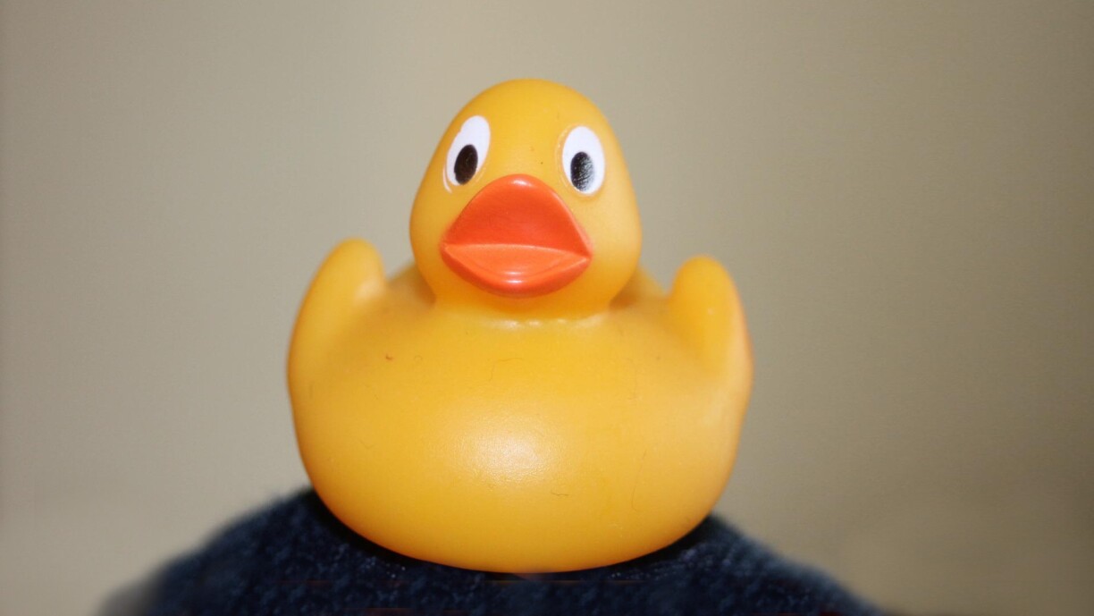 Ducky McDuckface