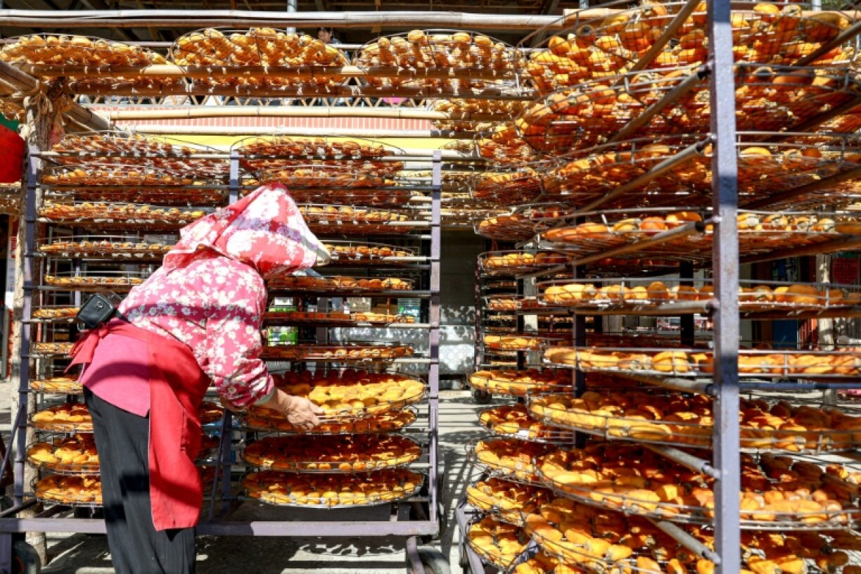 Persimmons are plaed on outdoor circular racks to shrivel and darken as they dry in the sun and wind -- a traditional method used by Taiwan's ethnic Hakka community