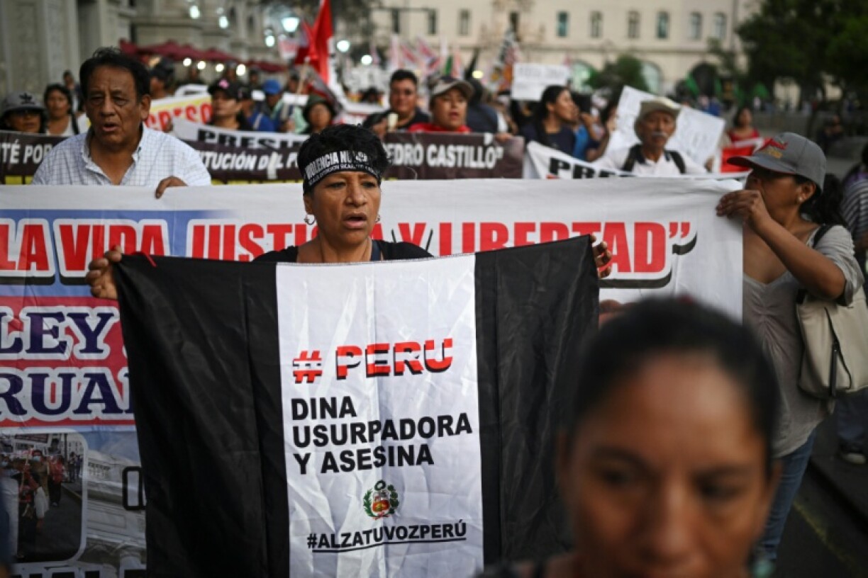The chant 'Dina, Asesina!' (Dina, murderer!)is popular at anti-government rallies