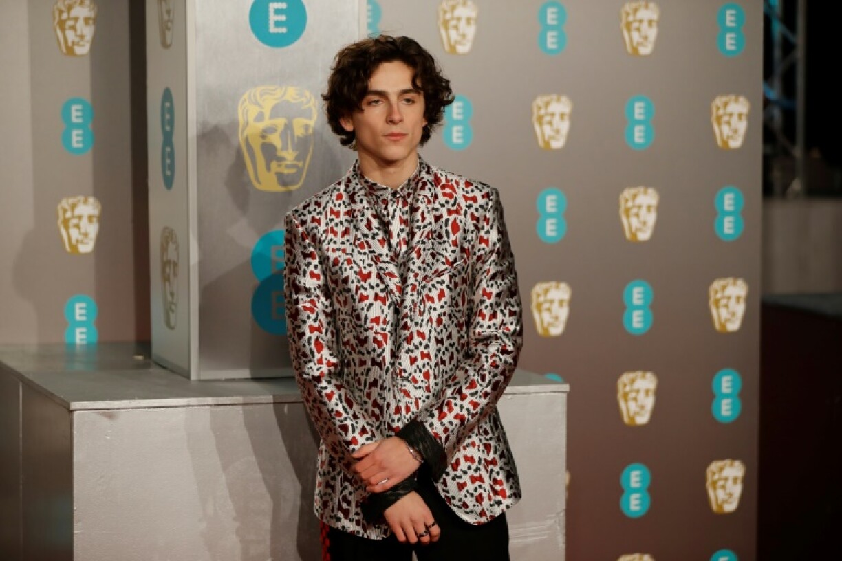 L'acteur franco-américain Timothée Chalamet à Londres, en février 2019