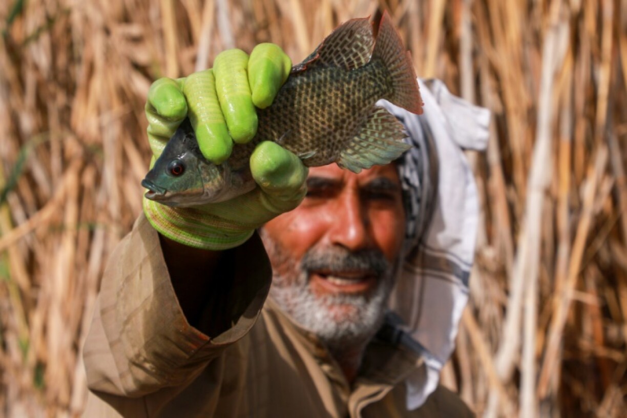 A marsh fisherman with his catch